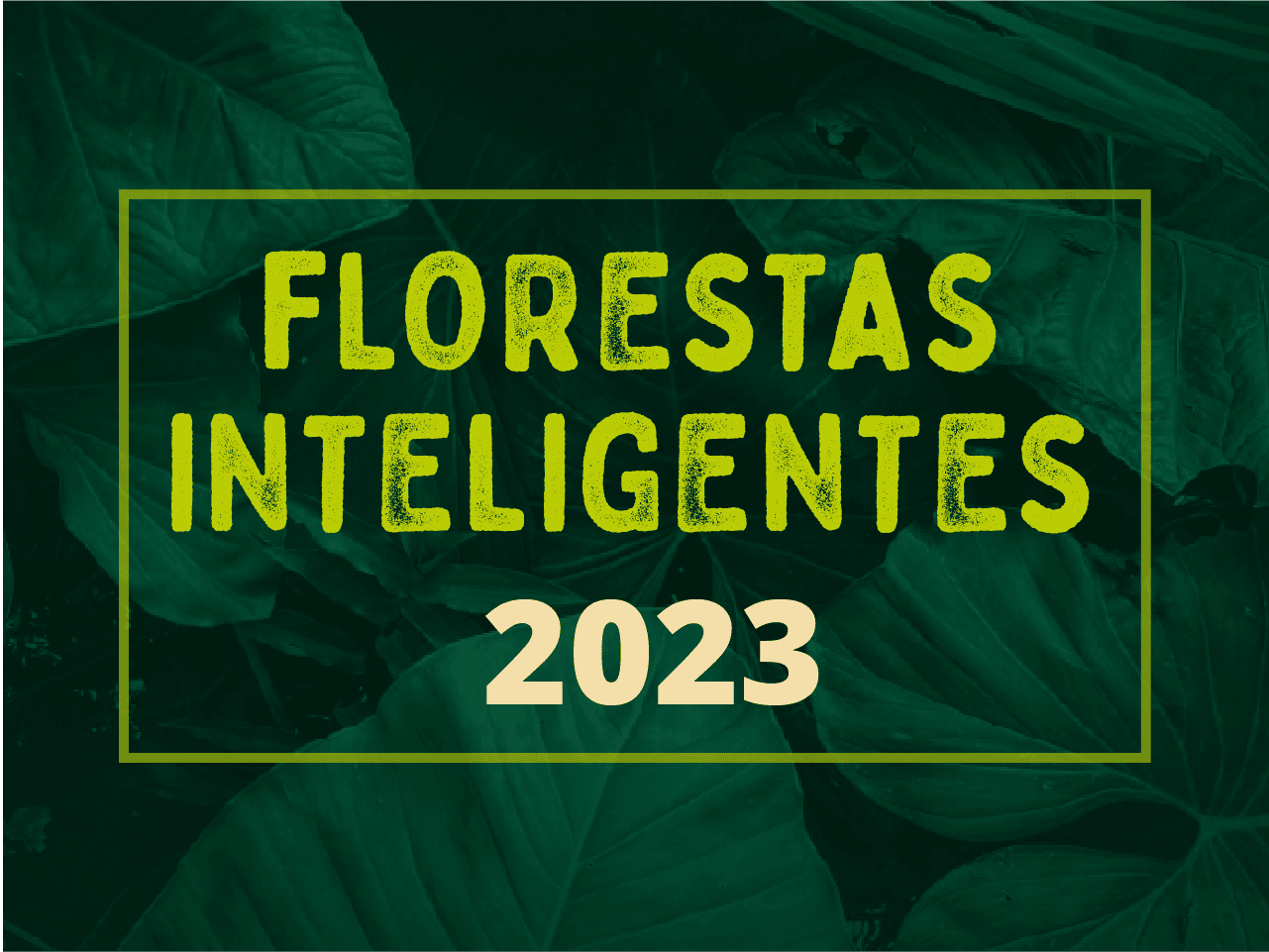 Projeto Florestas Inteligentes abre inscrições para a edição 2023